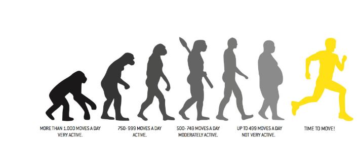 minder beweging evolutie.JPG
